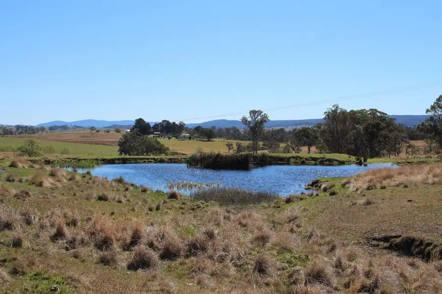 Main view of Homely rural property listing, 157 Nutshell Road, Tenterfield NSW 2372