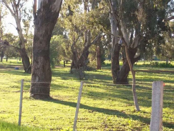 Seventh view of Homely land listing, 40 Racecourse Rd, Berrigan NSW 2712
