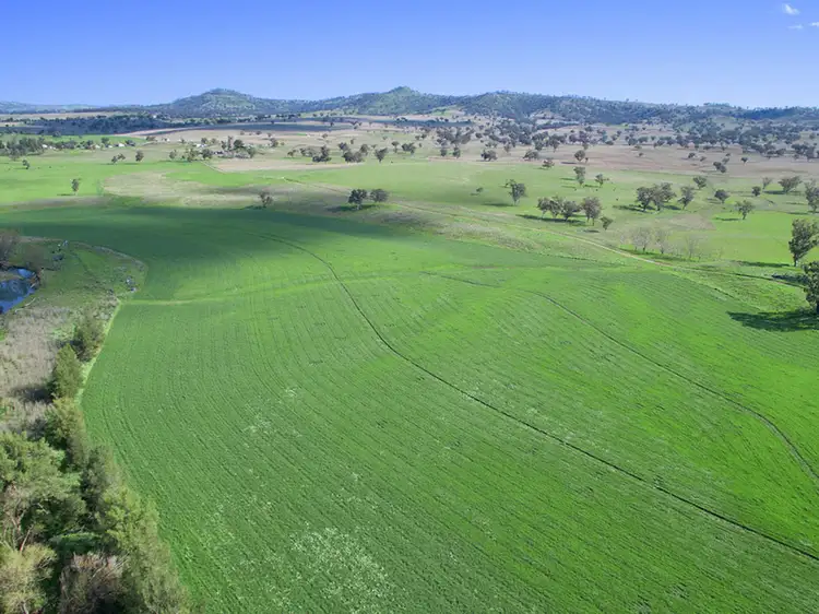 Main view of Homely rural property listing, 3463 Merriwa Road, Scone NSW 2337