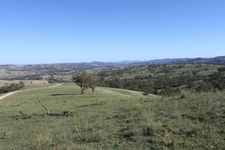 Third view of Homely rural property listing, 1 "Ridgelands" Swinging Ridges Rd, Scone NSW 2337