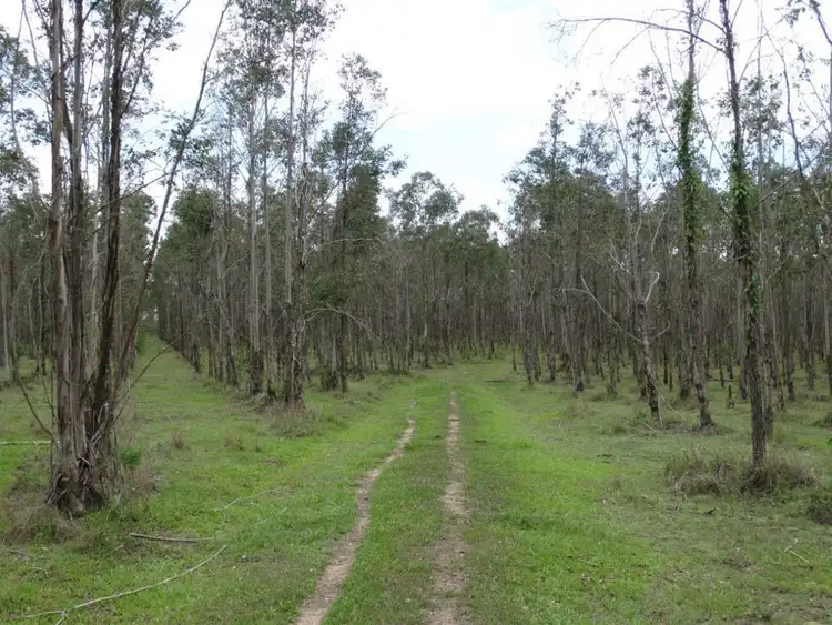 Seventh view of Homely rural property listing, Lot 31 Lowmead Road, Miriam Vale QLD 4677