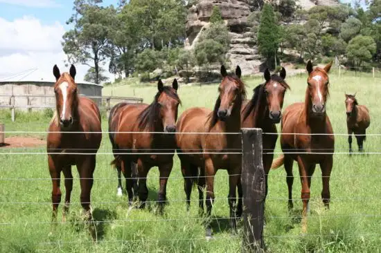 Seventh view of Homely rural property listing, Address available on request