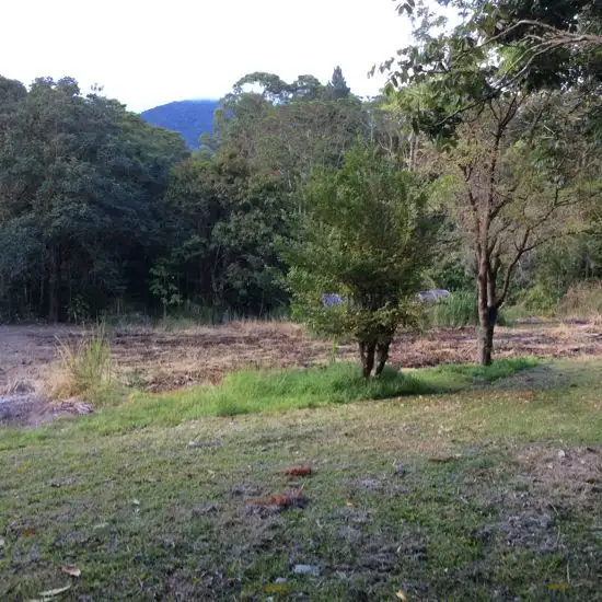 Fifth view of Homely house listing, 1759 Mossman-Mt Molloy Road, Julatten QLD 4871