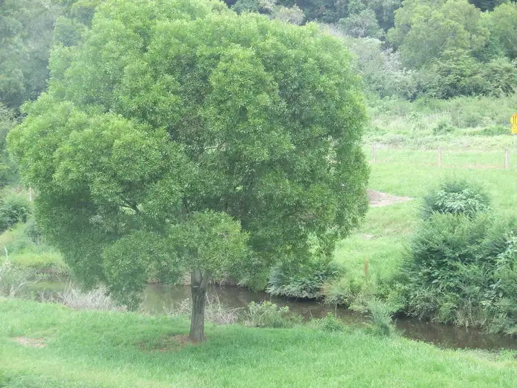 Fifth view of Homely rural property listing, Address available on request