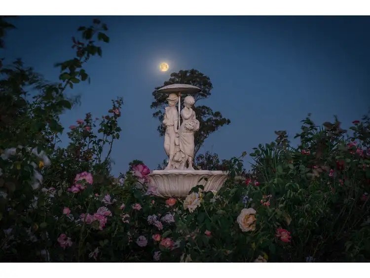 Third view of Homely rural property listing, 28 James Road, Goombungee QLD 4354