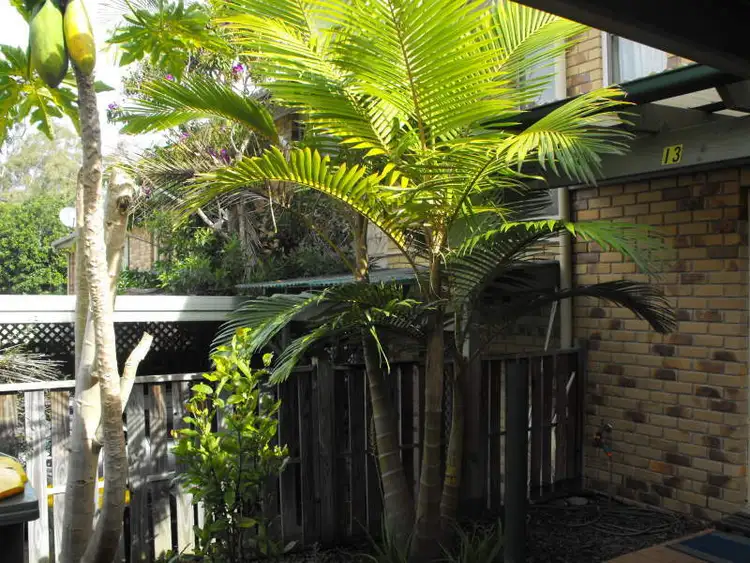 Seventh view of Homely townhouse listing, 12/6 Ramu, Eagleby QLD 4207