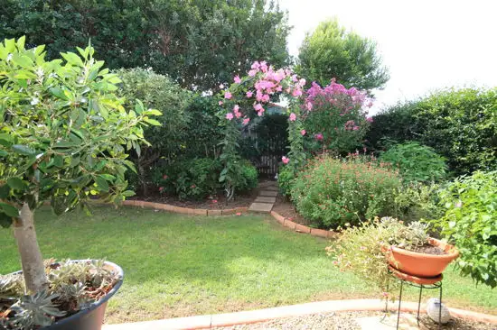 Second view of Homely house listing, 3 Vieritz Road, Bellmere QLD 4510