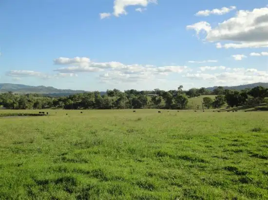 Second view of Homely rural property listing, 80 Scotts Creek Road, Blandford NSW 2338