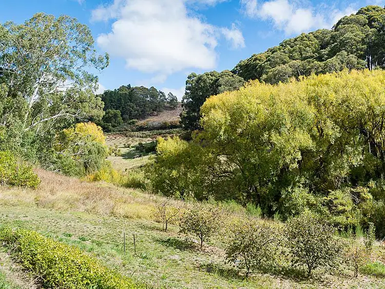 Fifth view of Homely rural property listing, L60 Lobethal Road, Basket Range SA 5138
