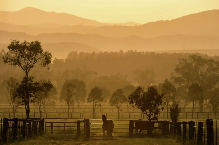 Third view of Homely rural property listing, 118 Nandowra Road, Scone NSW 2337
