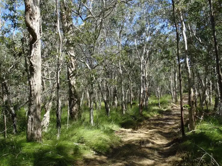 Sixth view of Homely rural property listing, Lot 13 Muller Road, Baffle Creek QLD 4674
