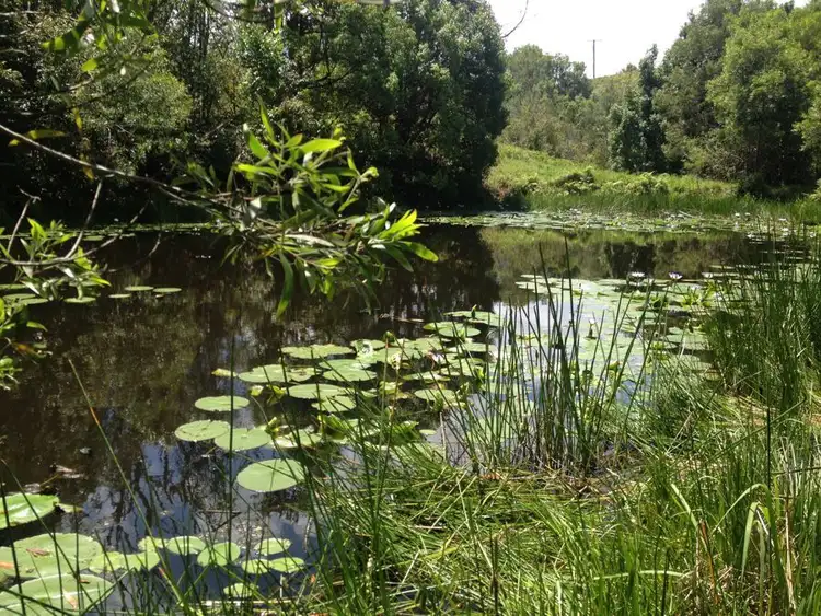 Main view of Homely rural property listing, 1072 Valla Road, Valla NSW 2448