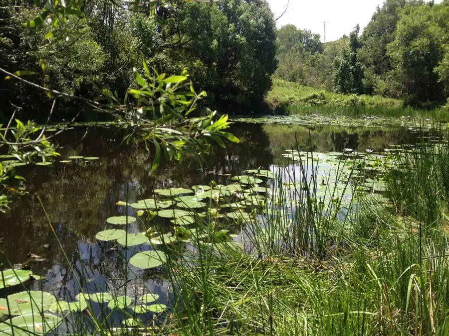 Main view of Homely rural property listing, 1072 Valla Road, Valla NSW 2448