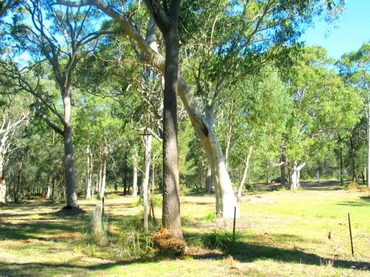 Second view of Homely rural property listing, 11 Saddlers Way, Wyee Point NSW 2259