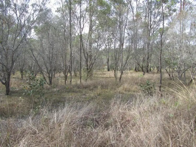 Sixth view of Homely rural property listing, Lot 38 Bucca Road, Bucca QLD 4670