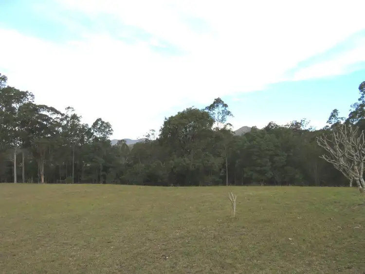 Seventh view of Homely rural property listing, 1517 Willi Willi Road, Temagog NSW 2440