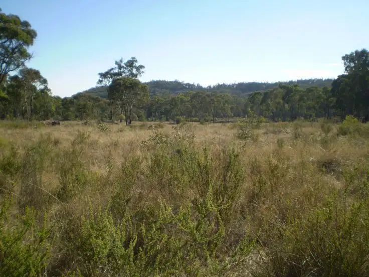 Fifth view of Homely rural property listing, THISTLE CROFT - Barraba, Tamworth NSW 2340
