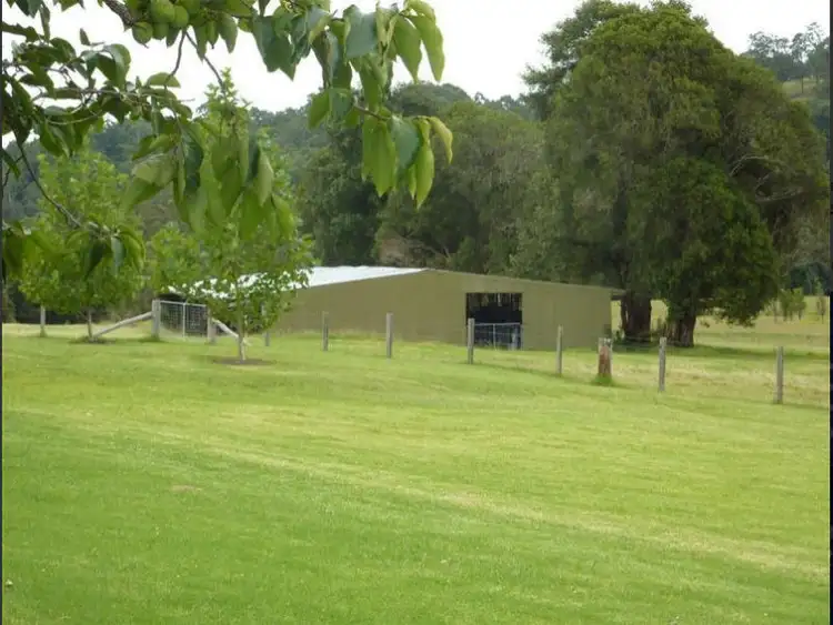 Seventh view of Homely rural property listing, 172 Waterloo Road, Firefly NSW 2429