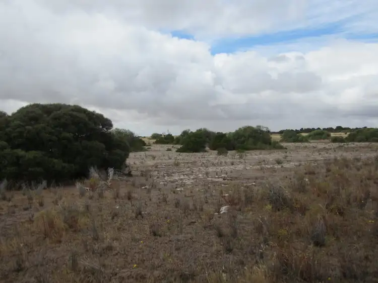 Third view of Homely rural property listing, 4 Princes Highway, Tailem Bend SA 5260