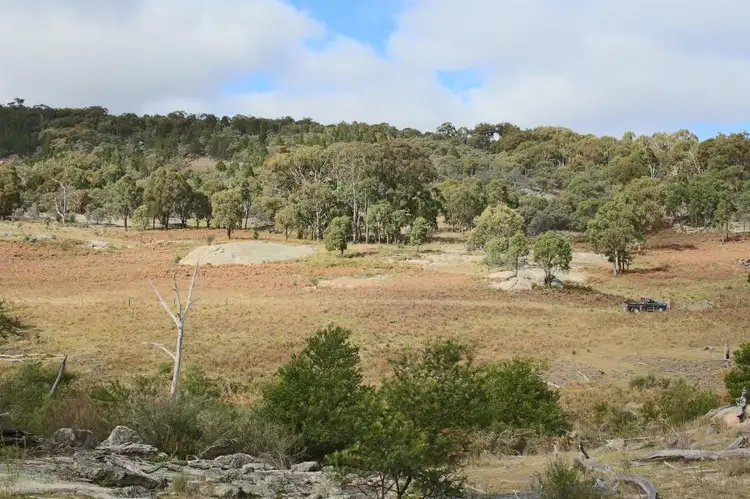 Second view of Homely rural property listing, 350 Gunyah Road, Tenterfield NSW 2372