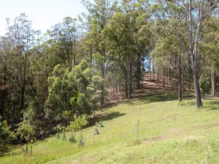 Sixth view of Homely rural property listing, Lot 1 Greenhills Road, Taylors Arm NSW 2447