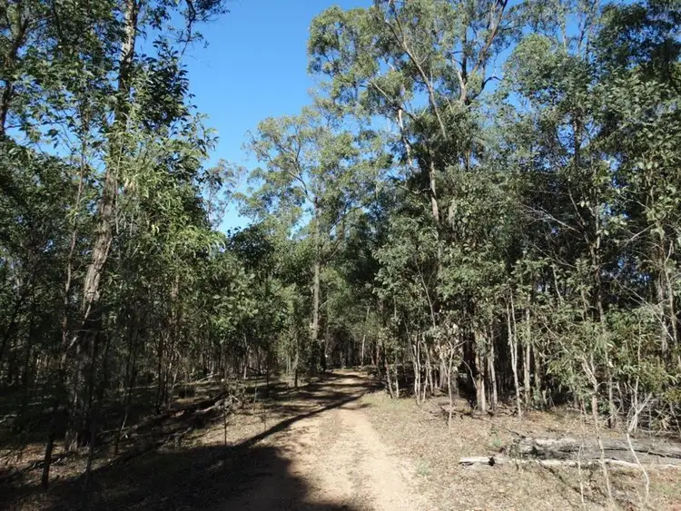 Seventh view of Homely rural property listing, 201 Rothman Road, Rosedale QLD 4674