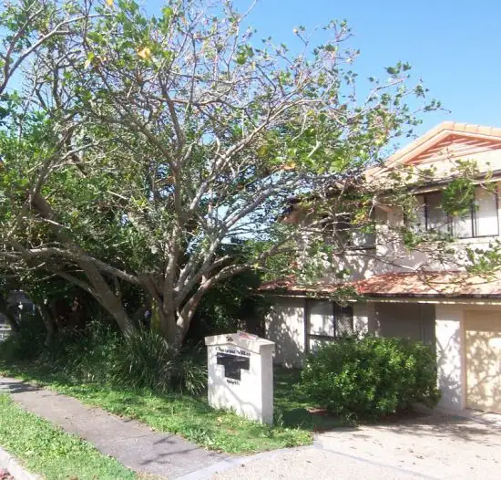 Main view of Homely semi-detached listing, 1/56 Ward St, Southport QLD 4215