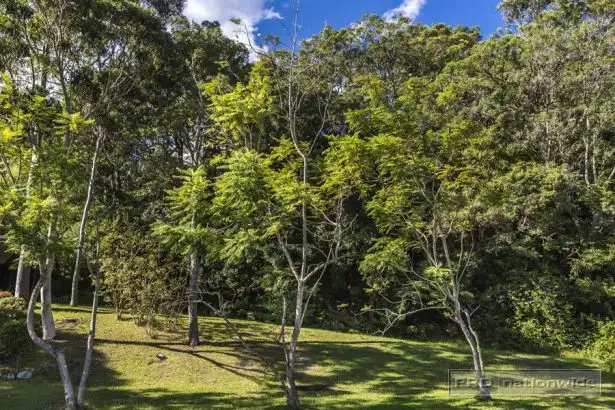 Fourth view of Homely house listing, 127 Grandview Road, New Lambton Heights NSW 2305