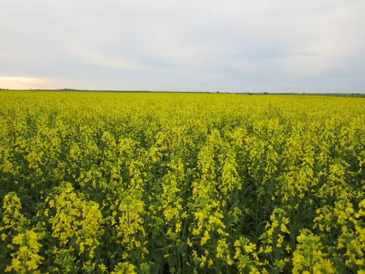 Seventh view of Homely rural property listing, Princes Highway, Wellington East SA 5259