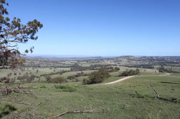 Fourth view of Homely rural property listing, 1 "Ridgelands" Swinging Ridges Rd, Scone NSW 2337