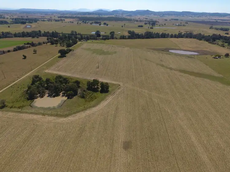 Third view of Homely rural property listing, 4040 Casino Coraki Road, Greenridge NSW 2471
