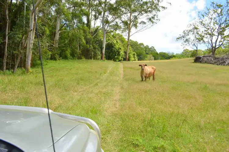 Fourth view of Homely house listing, 106 Bellthorpe Range Rd BELLTHORPE via, Maleny QLD 4552