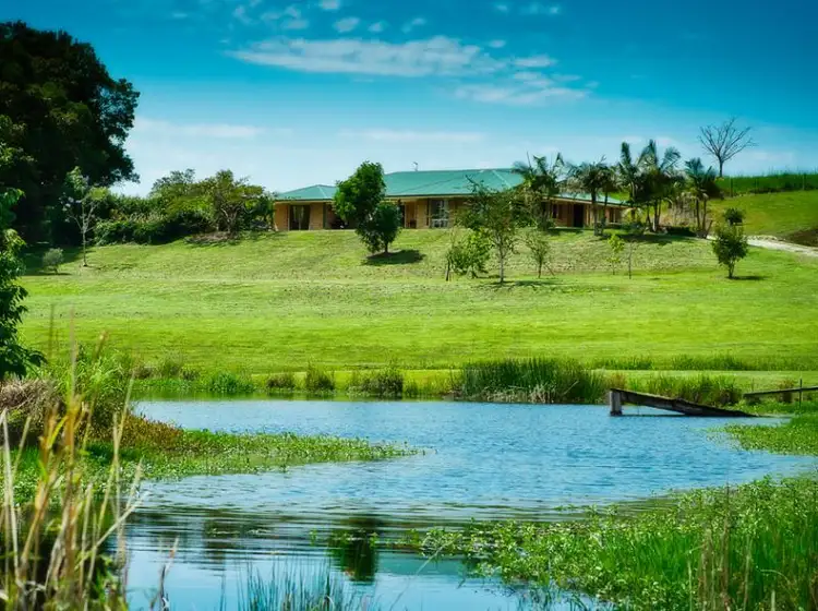 Fourth view of Homely rural property listing, 254 Waterfall Way, Raleigh NSW 2454