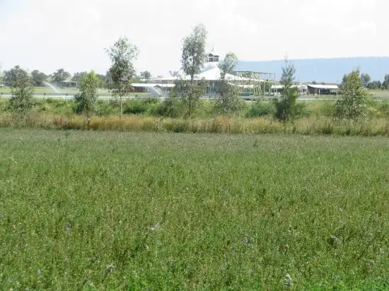Seventh view of Homely rural property listing, Address available on request