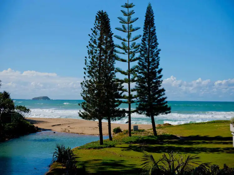 Fifth view of Homely unit listing, 185/746 Pacific Hwy, Sapphire Beach NSW 2450