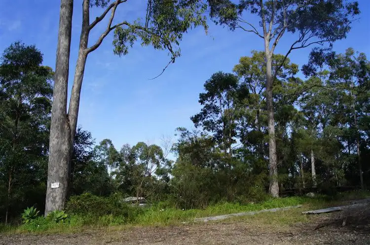 Sixth view of Homely rural property listing, 319 Dirty Creek Road, Dirty Creek NSW 2456