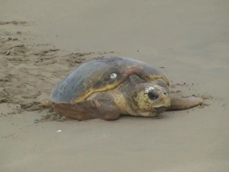 Seventh view of Homely land listing, 23 Burnett Shores, Burnett Heads QLD 4670