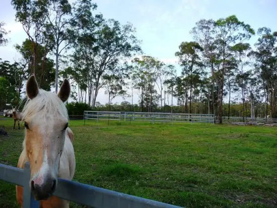 Fourth view of Homely rural property listing, 796 Torbanlea Pialba Rd, Takura QLD 4655