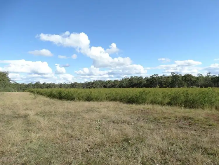 Fourth view of Homely rural property listing, Lot 97 Steeds Road, Winfield QLD 4670