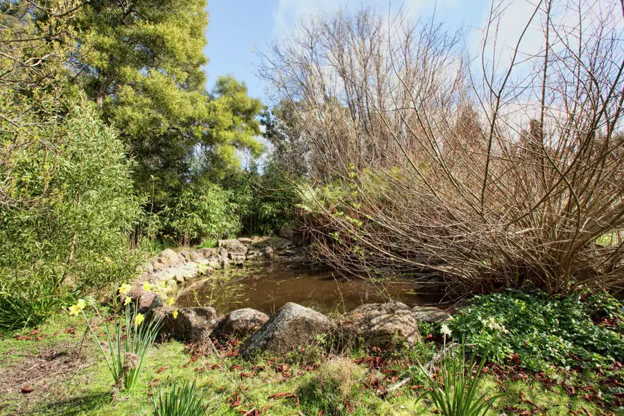 Main view of Homely land listing, 4125 Arthur Highway, Murdunna TAS 7178