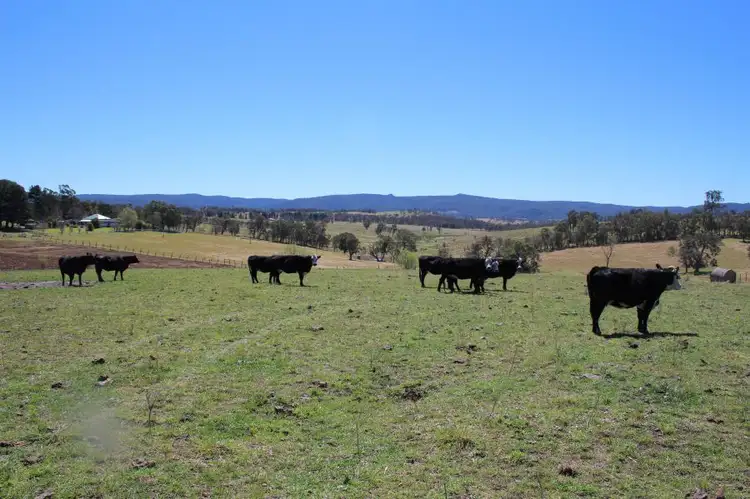 Second view of Homely rural property listing, 157 Nutshell Road, Tenterfield NSW 2372