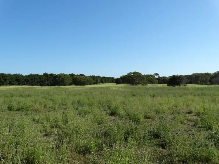 Third view of Homely rural property listing, Lot 69 Fingerfield Road, Rules Beach QLD 4674