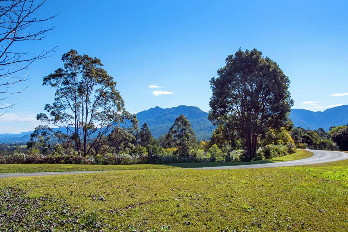 Main view of Homely house listing, 330 Roses Road, Bellingen NSW 2454