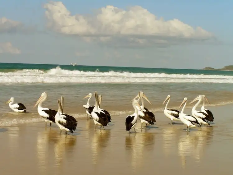 Sixth view of Homely apartment listing, 6/131 Muir Street, Labrador QLD 4215