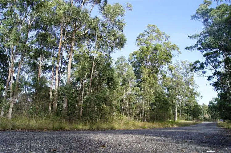 319 Dirty Creek Road, Dirty Creek NSW 2456