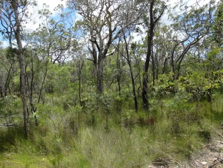 Third view of Homely rural property listing, Lot 51 Matchbox Road, Deepwater QLD 4674