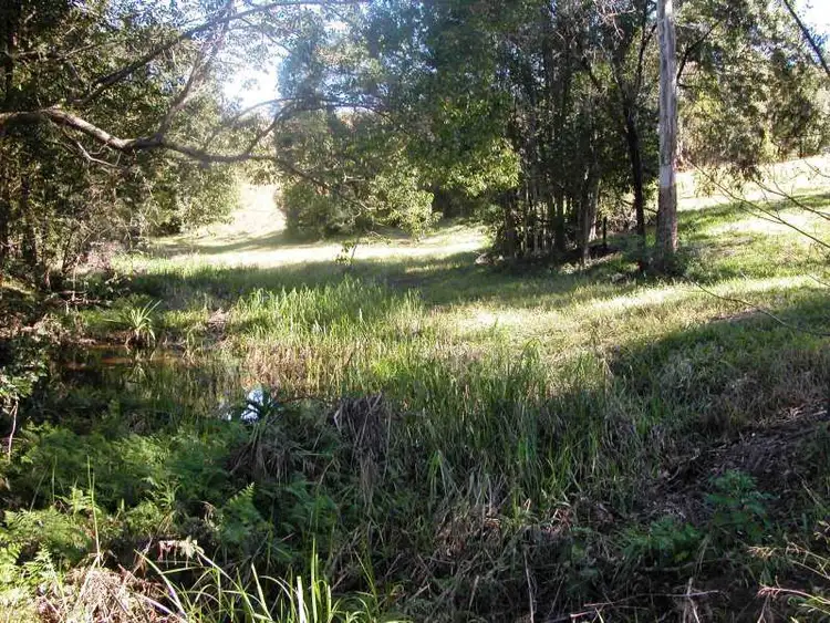 Fifth view of Homely rural property listing, 6 Strawberry Road, Macksville NSW 2447