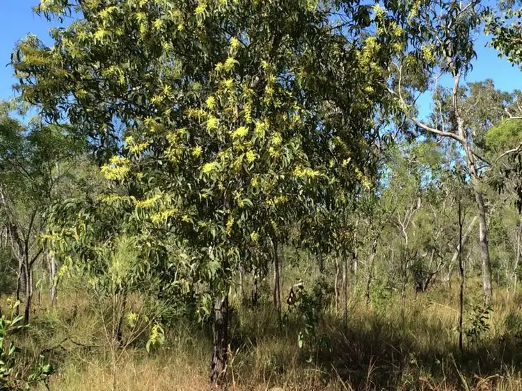 Sixth view of Homely rural property listing, Address available on request