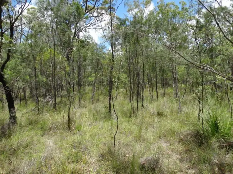 Fourth view of Homely rural property listing, Lot 51 Matchbox Road, Deepwater QLD 4674