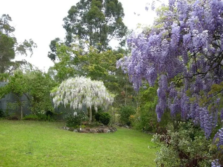 Seventh view of Homely rural property listing, Address available on request